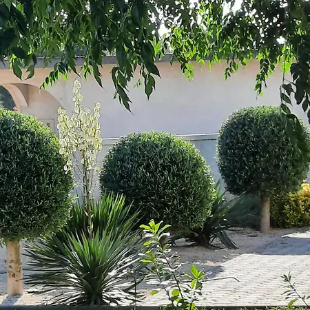 Stella Casa Bruno