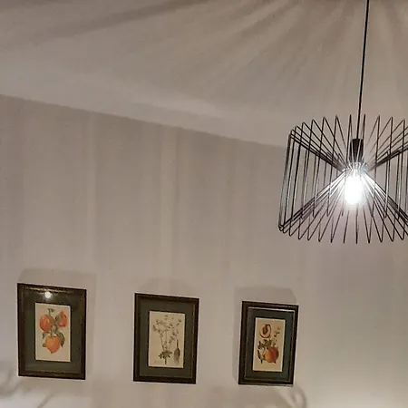 Stella Casa Bruno ヴーシ