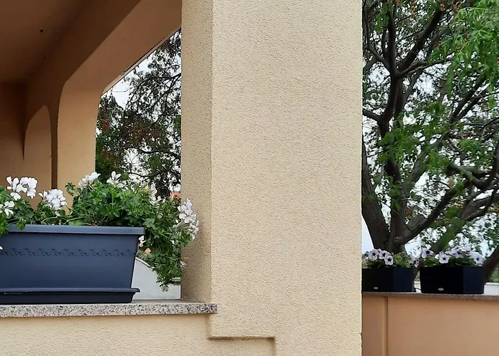 Stella Casa Bruno *